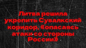 Литва решила укрепить Сувалкский коридор, «опасаясь атаки со стороны России»