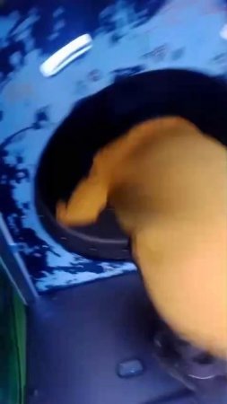 конец...что то с чем то, ПОДПИШИСЬ добейте мне 50 подписчиков