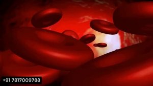 1 चम्मच और सम्भोग करे पूरी रात ॥ HE FORCE POWDER BENEFIT