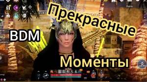 Прекрасные моменты black desert mobile