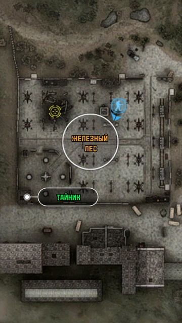 Stalker : Тайник №7 с Чёрный ястреб #stalker #сталкер #shorts смотреть онлайн