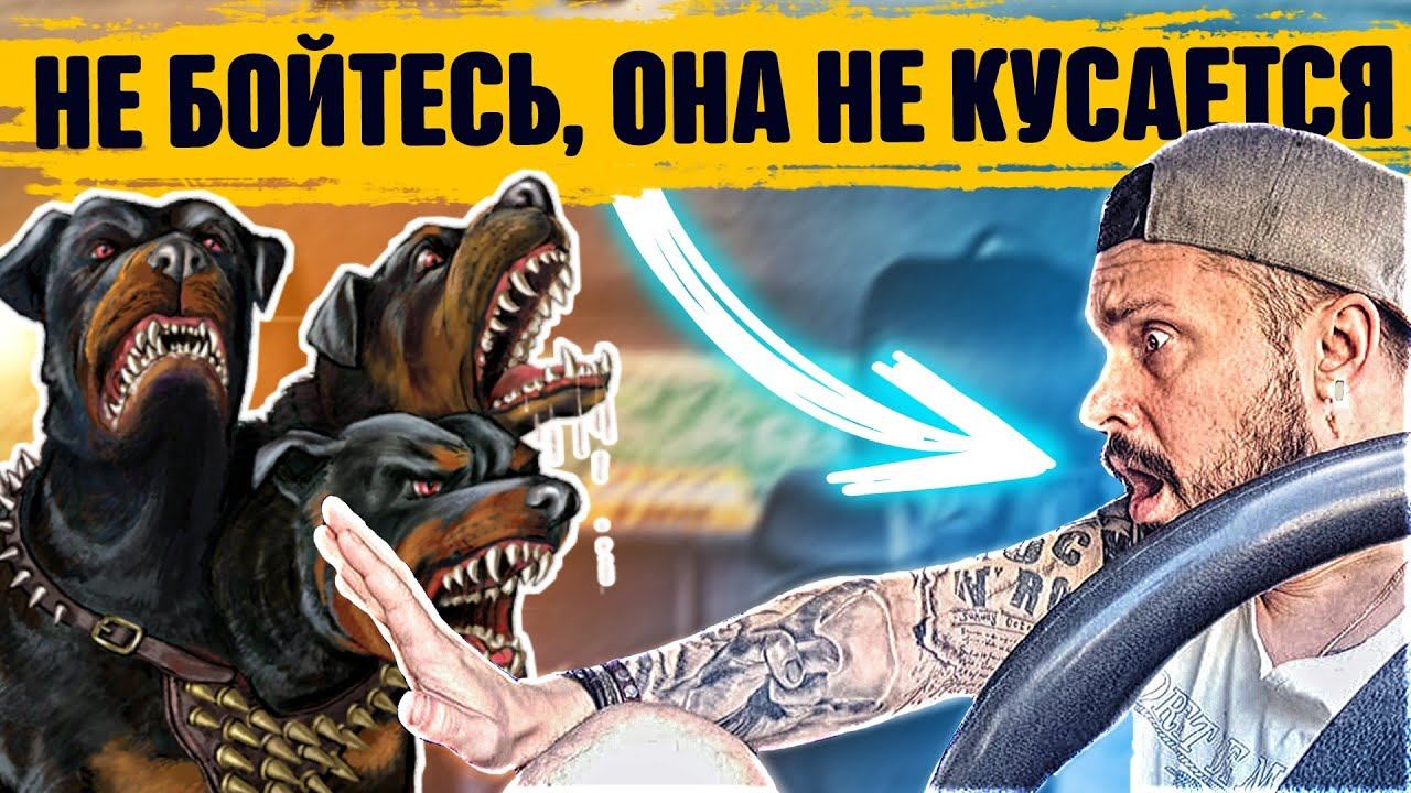 ЯЖЕМАТЬ в такси. С Большой собакой на руках перевозка животных СИТИМОБИЛ