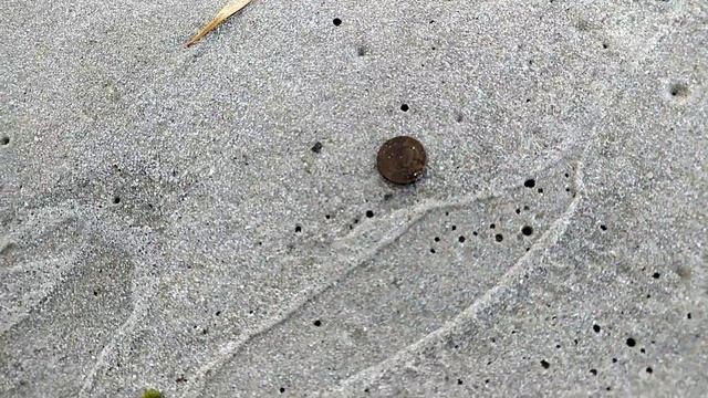 Берег водохранилища.Коп с фортуна про 2. смотреть онлайн