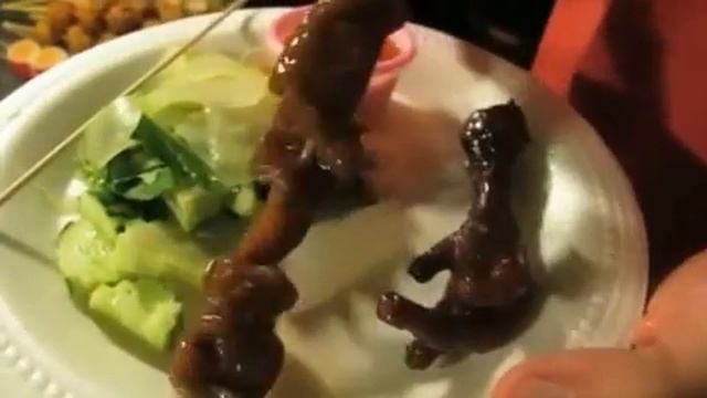 Bizarre Food: Southeast Asia
