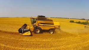 New Holland CS6090 | Уборка пшеницы