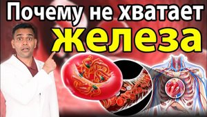 ПОЧЕМУ НЕ ХВАТАЕТ ЖЕЛЕЗА?