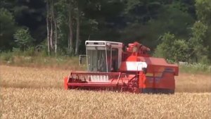 Японский зерновой комбайн Kubota AX85