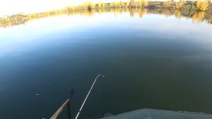 Бортовая удочка. Поклёвки окуня.