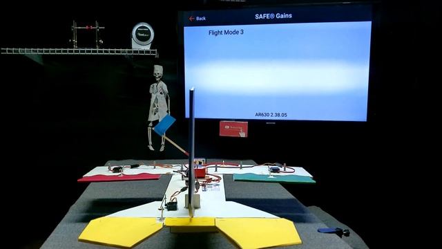 SPEKTRUM FORWARD PROGRAMMING 3/3 GAINS SAFE SELECT AS3X RC AIRPLANE PNP BNF E-FLITE FMS HORIZON HOB смотреть онлайн