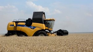 Комбайны New Holland CX6.90 на уборке пшеницы