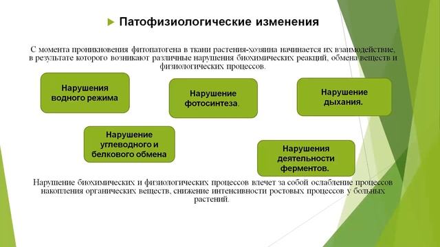 Видео лекция  Общие сведения  о болезнях сельскохозяйственных культур