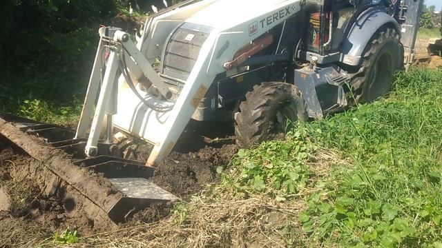 Terex Avery time hard work смотреть онлайн