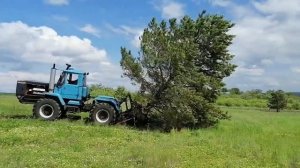 Корчувач дерев на трактор Т150 в роботі