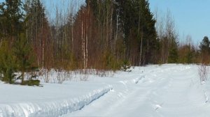 ОХОТА в СИБИРИ / Охота на белую куропатку / 22lr