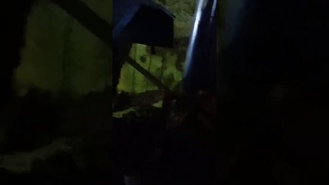 Трактор МТЗ 1221 экспресс-обзор от Виталия Белоглазова смотреть онлайн