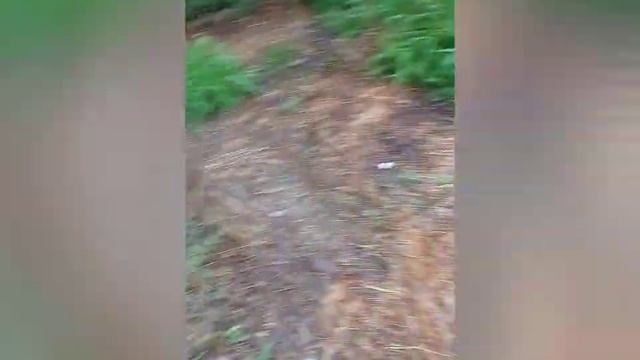 А вы как боритесь с улитками? 😉😁 смотреть онлайн