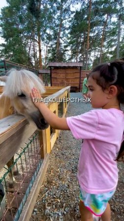 Чудо в Самаре 😍 "ЕКОПАРК МАЛАМУТ ЛЕНД " 👇