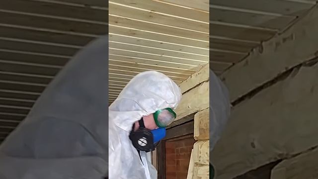 полировка сруба.mp4
