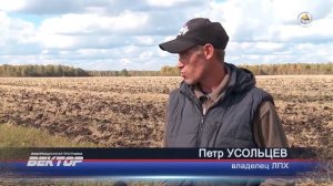 ОТЛИЧНАЯ ИДЕЯ ДЛЯ БИЗНЕСА. БИЗНЕС НА ВЫРАЩИВАНИИ КАРТОФЕЛЯ. ХОРОШИЙ ДОХОД