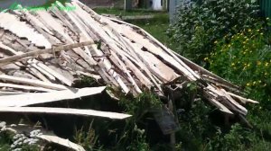 Нам привезли дрова. Сколько привезли и сколько заплатили за них в этом году?