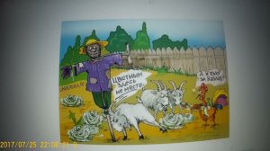 рЫма  чек -собираются разводить мух ...