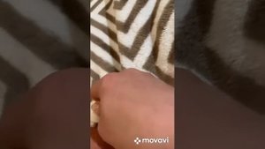 #криофарма криофарма