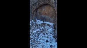 Заделанное дупло в корнях огромного окаменелого дерева