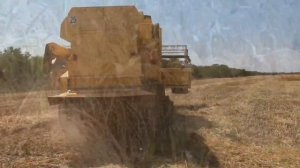 УБОРКА ПРОСО без дисикации. Newholland TC 56. Вот это драйв!!!