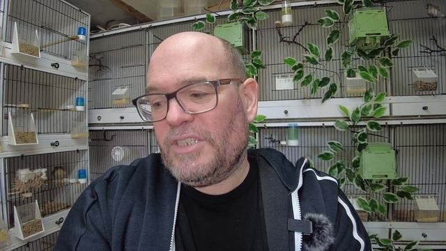 Twites, Siskins & Redpolls - Breeding Guide - The Native Diaries Season 1 Episode 3