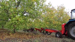 Механизированная уборка грецкого ореха
