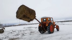 Т40 АП +самодельный погрузчик рулонов.