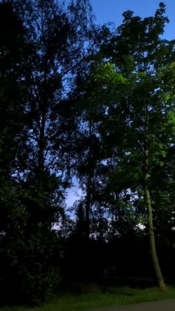 Вечером на природе в парке