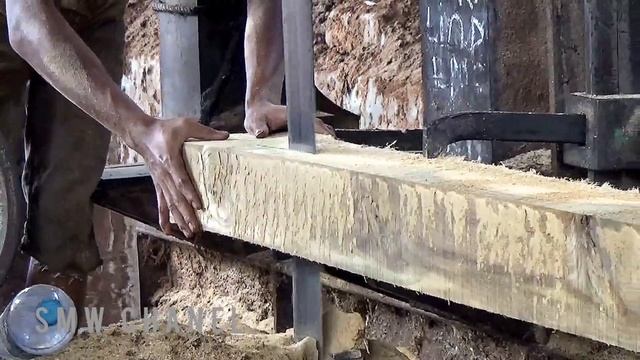 Cara cepat proses penggergajian kayu jati istimewa ini menyebabkan kekaguman!!