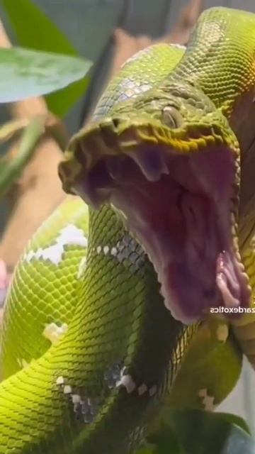 Когда проснулся раньше любимой... смотреть онлайн