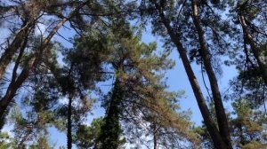 Абхазия , отдых в стране души , Дорога от Уфы до Пицунды