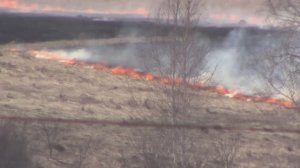 Наша дача. Апрель 2025. Пожары.