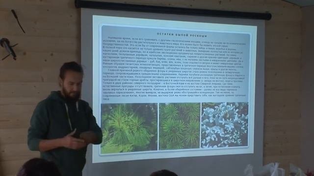 Анатолий Орлов. Практика по созданию лесосада. Ч.12