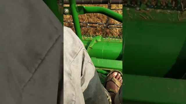 John Deere W70 harvester Wow😮😯😯 смотреть онлайн
