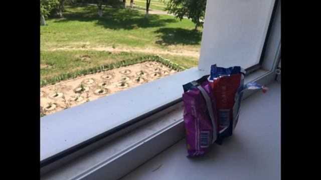 Школа вожатых РСО_Крым_Фотоквест_4 отряд