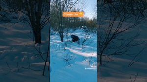 Для веселья есть причина