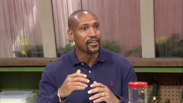 Q&A - Controlling iris rust смотреть онлайн