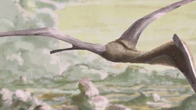 Conheça o QUETZALCOATLUS de Jurassic World Dominion!!! смотреть онлайн