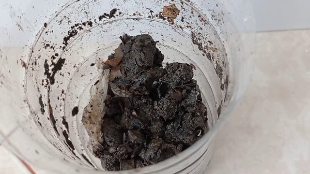 Самое лучшее. Самое мощное. Бесплатное. Самое эффективное удобрение. В домашних условиях квартире.