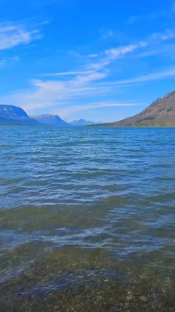 Какая вода в озере Лама плато Путорана #активныйотдых #платопуторана смотреть онлайн
