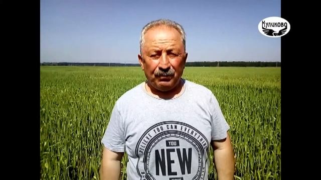 Подкормка озимой пшеницы.19.06.2020 смотреть онлайн