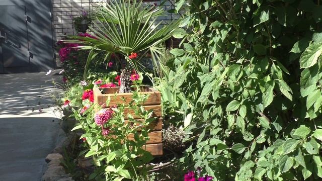 Вот и осень.... смотреть онлайн