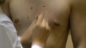 Перкуссия сердца