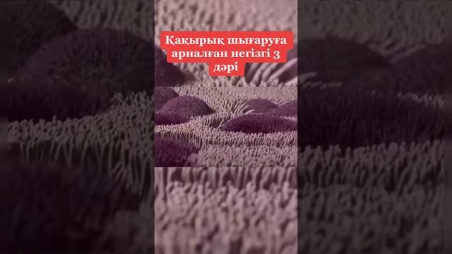 Қақырық шығаруға арналған дәрілер!!!#қақырық#отхаркивающие#денсаулық #пайдалыкеңес?? смотреть онлайн