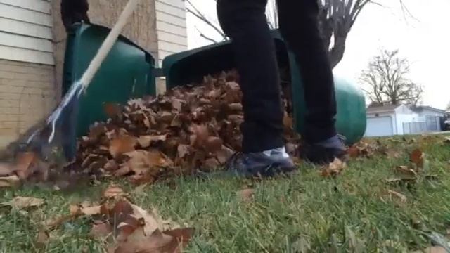 Leaf Cleaning Life Hack for Dummies смотреть онлайн