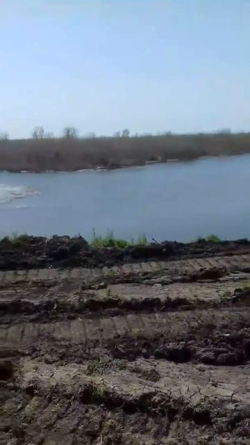Днепропетровская обл. Васильковка. Речка Волчья